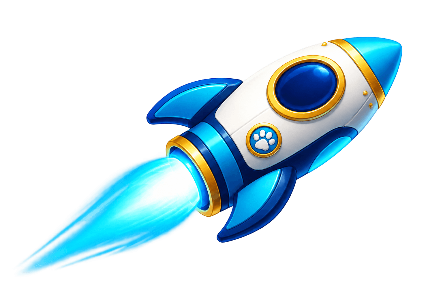 Buddy Cat's rocket